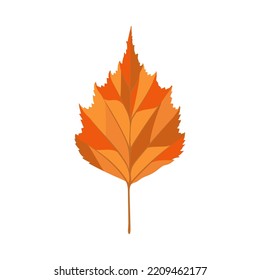 Hoja de árbol de abedul de otoño. Caída de hojas. Ilustración vectorial.