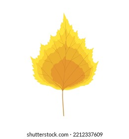 Autumn birch tree leaf. Leaf fall. Vector illustration.