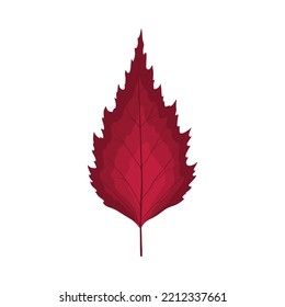 Birkenblattbäume im Herbst. Bleifall. Vektorgrafik.