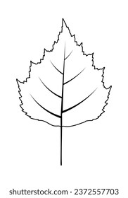 Hoja de árbol de abedul de otoño. Cae la hoja de otoño. Ilustración vectorial.
