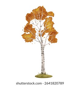 Autumn birch tree vector clipart. Fall tree or wilderness timber. Element for forest or woodland biodiversity. Park ecosystem. Seasonal wood symbol. Nature and wildlife, biology and botany, flora.