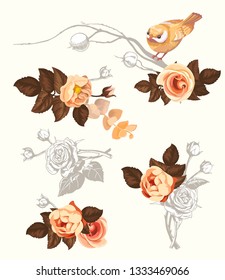 Autumn Bird Flower Branch Watercolor Decoration Kit for Invitation Card. Floral Summer Abstract Rose Bouquet with Nightingale. Romantic Plant Bloom Wedding Background Flat Cartoon Vector Illustration