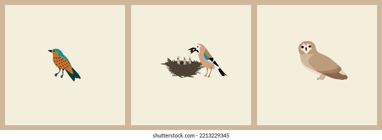 Autumn Birds in different poses