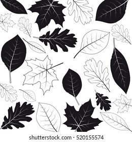 Autumn black and white backgound