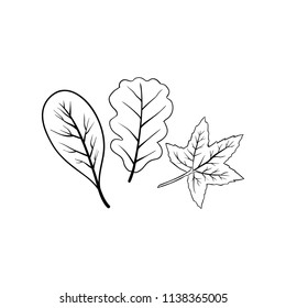 Autumn black white leaf