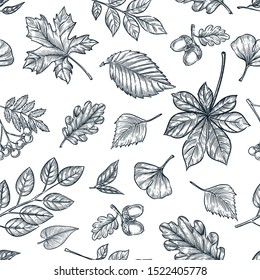 Autumn black white outline leaves seamless pattern. Vector hand drawn sketch illustration of forest plants. Fall nature background design. Trendy fashion textile or packaging print.