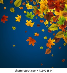Autumn blue background with colorful maple and birch leaves. Vector illustration.