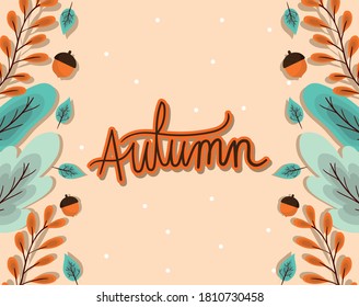 Autumn blue and brown leaves with acorns frame design, season nature ornament garden decoration and botany theme Vector illustration