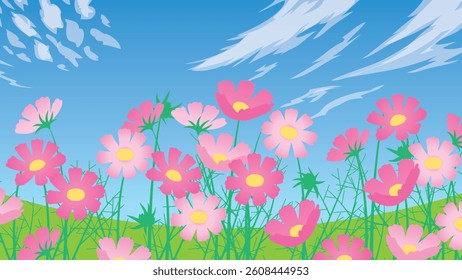 Autumn blue sky and cosmos in full bloom (16:9)