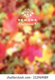 Autumn blur background with maple leaves. Vector illustration.