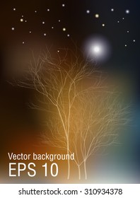 Autumn blurry night background with trees and moon. Vector illustration.