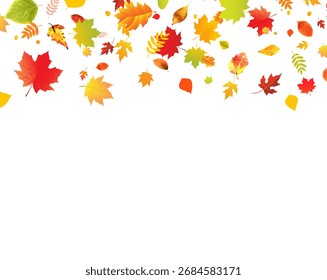 Autumn Border With Colorful Leaves With Gradient Mesh, Vector Illustration