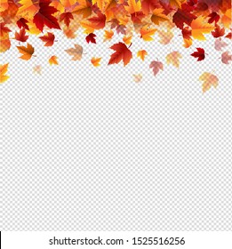 Autumn Border With Autumn Colorful Leaves transparent background With Gradient Mesh, Vector Illustration