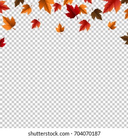 Autumn Border With Leaves Isolated