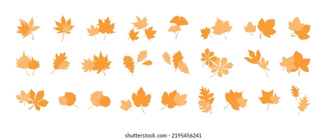 Autumn botanical leaves for design decor. Set of autumn leaves combination, herbal elements. Collection of fall orange leaves. Can be used as decorations for Back to School, Halloween or Thanksgiving.