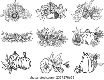 Autumn botanical line art floral compositions, hand drawn fall plants (flowers, leaves, acorns, pumpkins and branches), vector illustration, autumn bouquets 