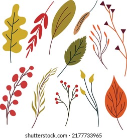 Autumn botanical set. Vector hand-drawn autumn plants, leaves, branches. Design elements for autumn greeting cards, gift paper.