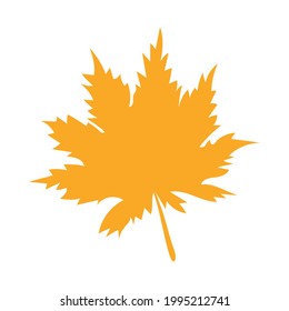 Autumn botanical vector flat plant element, maple. Fall orange maple leaf. Simple autumn leaf, herbal element. Can be used as sign, symbol, icon. Stock vector illustration isolated on white background