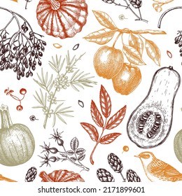 Autumn botany. Fall seamless pattern in sketched style. Botanical drawings of fallen leaves, pumpkins, berries, birds. Vintage fall plants hand drawn background. Thanksgiving day sketches background