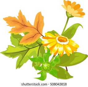 Autumn bouquet
