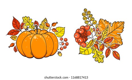 Autumn bouquet vector illustration. Hand drawn bouquet collestion. Digital drawing.