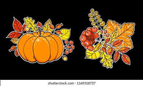 Autumn bouquet vector illustration. Hand drawn bouquet collestion. Digital drawing.