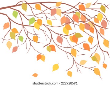 autumn branch