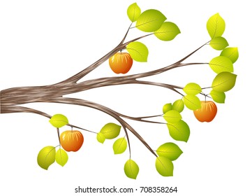 Autumn branch of apple-tree