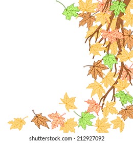 Autumn branch with color autumn maple leaves  background, vector illustration.