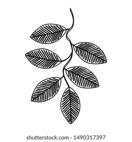 autumn branch with dry leafs nature icon