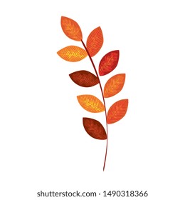 autumn branch with dry leafs nature icon