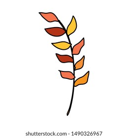 autumn branch with dry leafs nature icon