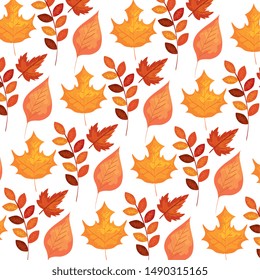 autumn branch and dry maple leafs pattern