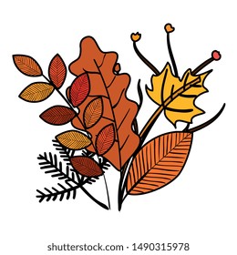 autumn branch and dry maple leafs decoration