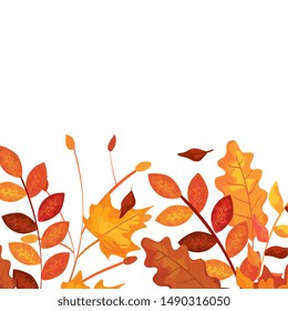 autumn branch and dry maple leafs frame