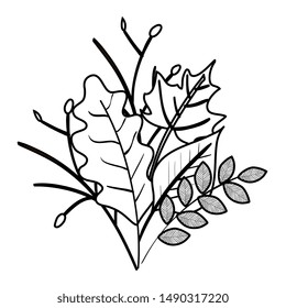 autumn branch and dry maple leafs decoration