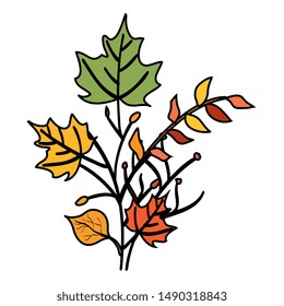 autumn branch and dry maple leafs decoration