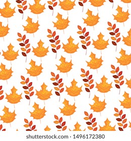 autumn branch and dry maple leafs pattern