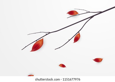 Autumn branch with falling bright red leaves isolated on white background. Autumn composition. Indian summer. Design concept for the websites, seasonal holiday greeting card. vector illustration.