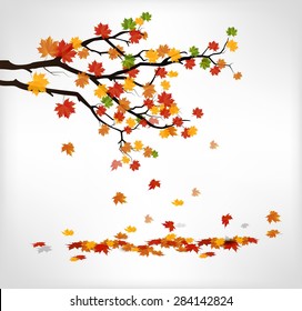 Autumn Branch With Falling Leaves. Vector