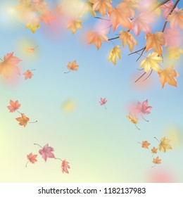 Autumn branch and falling maple leaves. Vector background with blurred transparent elements