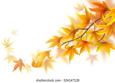 Autumn branch with falling maple leaves on white background