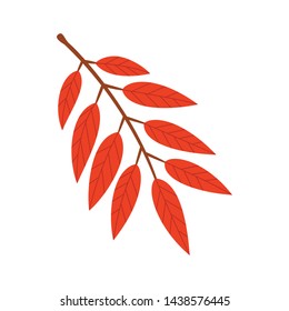 Autumn branch isolated on white background
