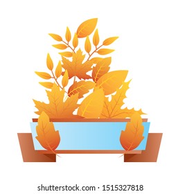 autumn branch with leafs blue label vector illustration design