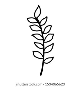 autumn branch with leafs isolated icon vector illustration design
