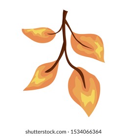 autumn branch with leafs isolated icon vector illustration design