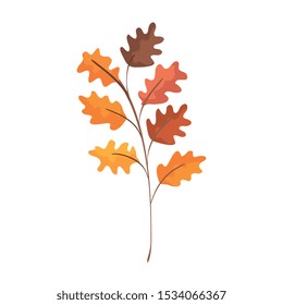 autumn branch with leafs isolated icon vector illustration design
