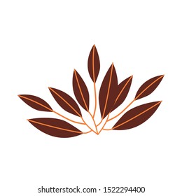 autumn branch with leafs plants seasonal vector illustration design