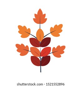 autumn branch with leafs seasonal icons vector illustration design