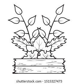 autumn branch with leafs and wooden label decorative crown vector illustration design